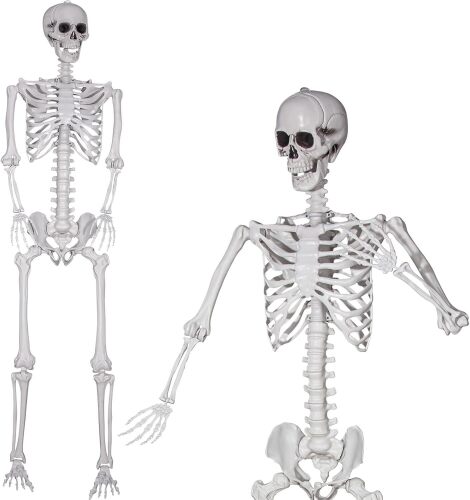 XONOR 7.8ft Halloween Giant Skeleton Posable Realistic Human Skeleton Bones with Movable Joints for Halloween Haunted House Indoor Outdoor Décor (7.8ft) - Lot 9184