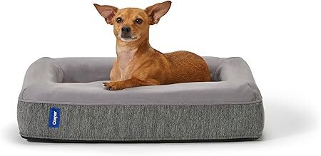 Casper Dog Bed, Plush Memory Foam, Medium - Lot 9506