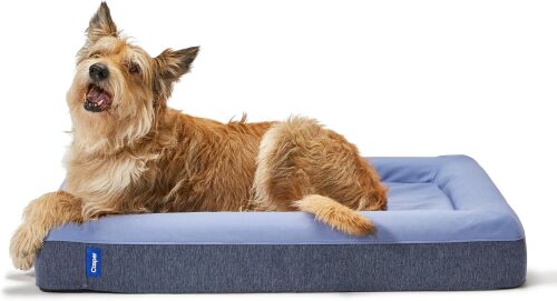 Casper Dog Bed, Plush Memory Foam - Lot 9514