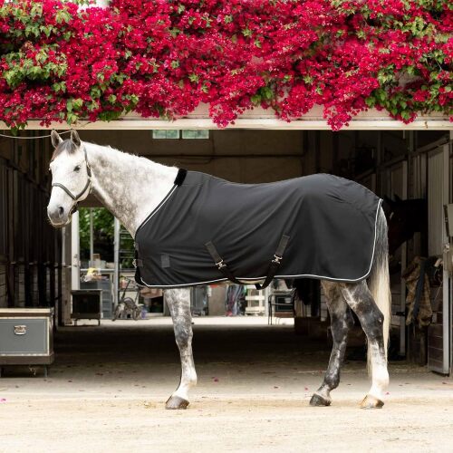Equinavia Vind Lightweight Stable Blanket for Horses | No Fill Sheet with Wither Relief - Black - 80 in - Lot 9568