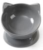Set of 2 Park Life Designs Oscar Tilt Cat Dish - Thumbnail 1
