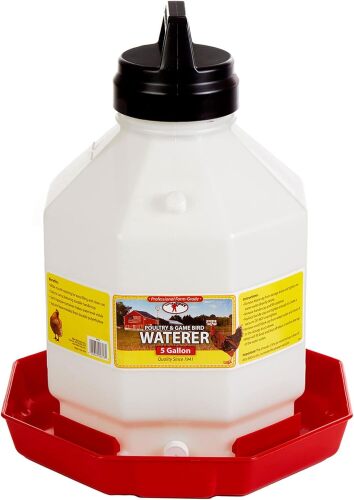 LITTLE GIANT Poultry & Game Bird Waterer 5 Gallon *Missing Lid* - Lot 9720