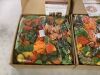 Lot of (3) 14" Seasonal Wreaths - Thumbnail 4