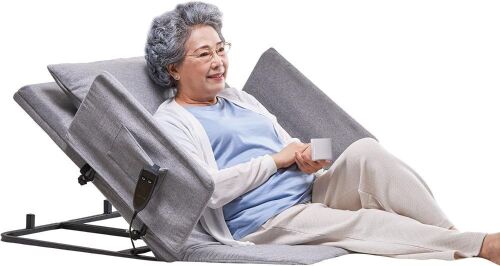 Electric Power Lifting Adjustable Bed Back Rest - Lot 283