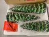 Set of 3 Pre-Lit Ceramic Tabletop Christmas Trees - Thumbnail 2