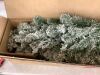 6' Pre-Lit Snow Flocked Artificial Pencil Christmas Tree - Thumbnail 3
