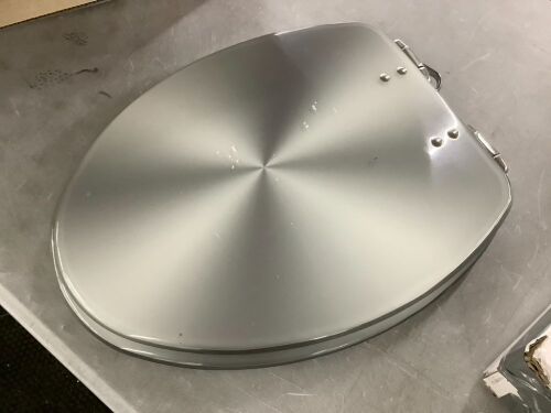 Silver Toilet Seat - Missing 2 Screws - Lot 703