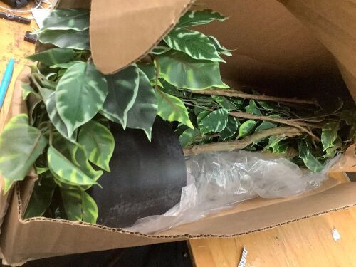 Artificial Greenery Plants for Indoor or Outdoor Use - Lot 122