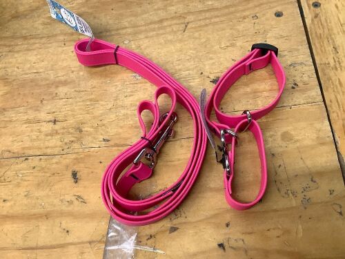 LupinePet Collar and Leash Set - Lot 270