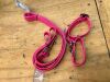 LupinePet Collar and Leash Set - Thumbnail 1
