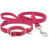 LupinePet Collar and Leash Set - Thumbnail 4