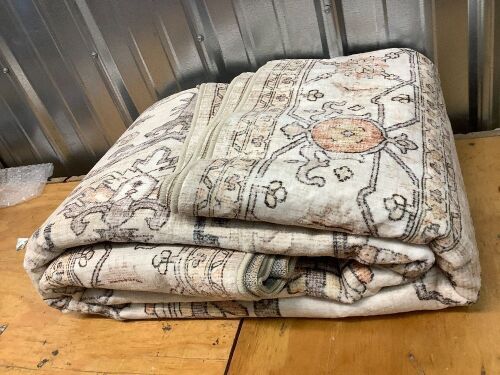 Large Indoor Area Rug - Lot 10024