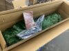 7.5' Unlit Artificial Green Spruce Christmas Tree, w/Easy Assembly - Thumbnail 2