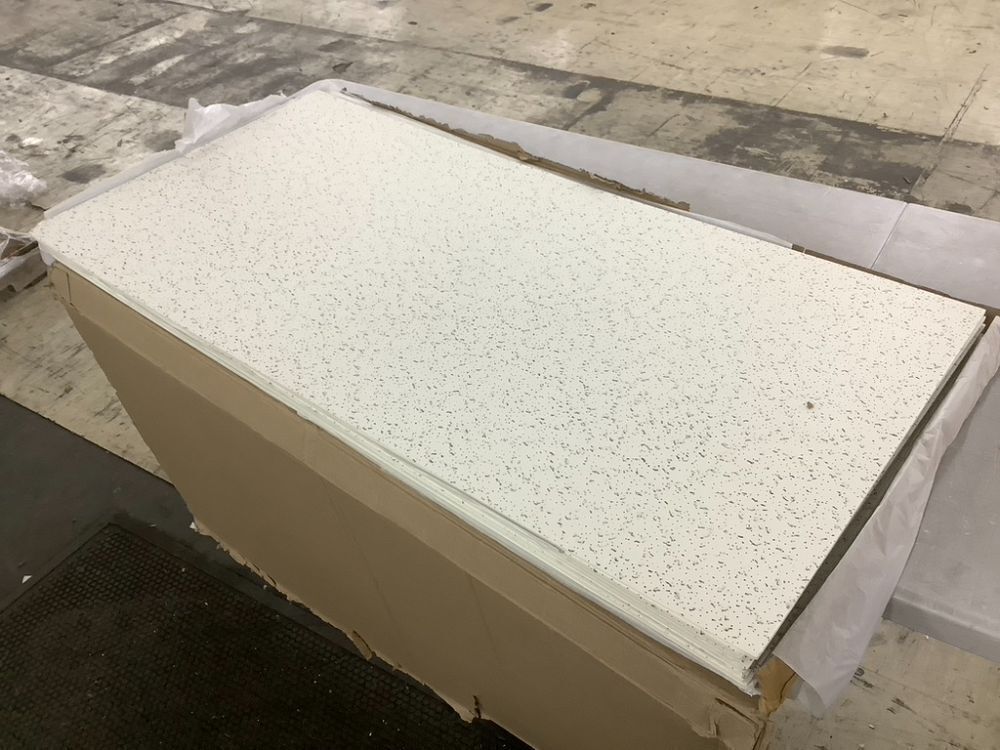 PVC Ceiling Tile, 10 Pack - Image 1 - Lot 480