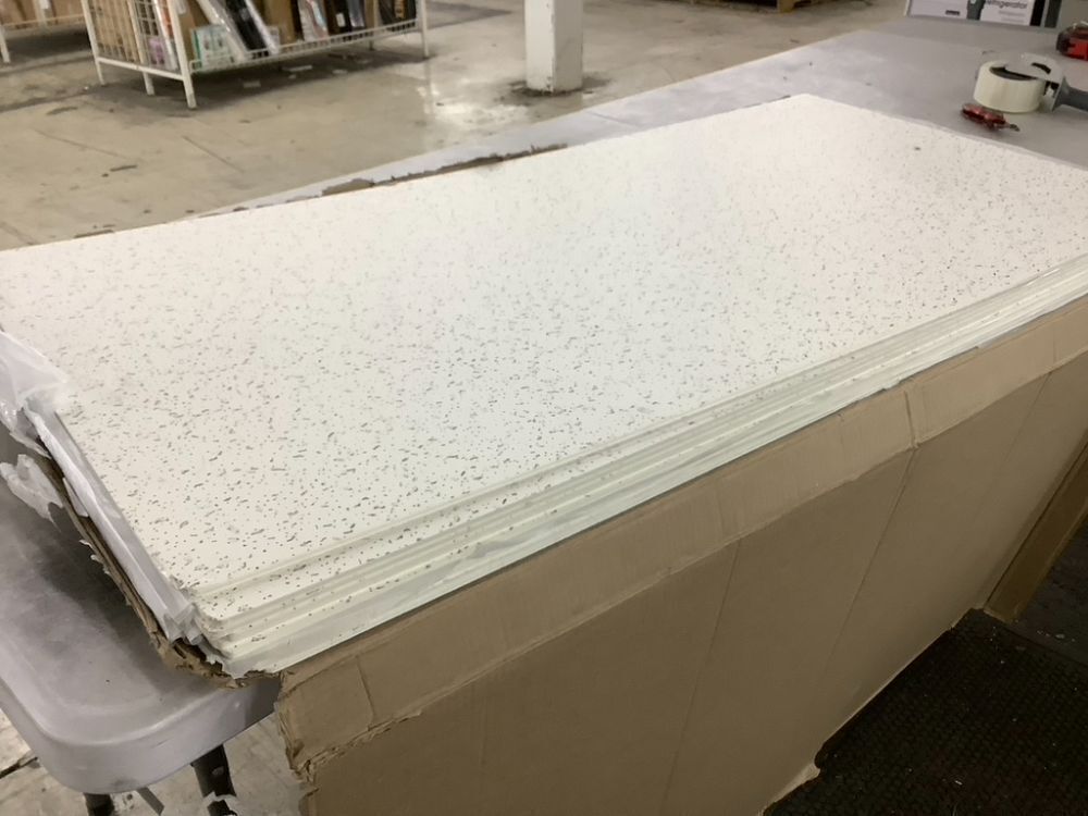 PVC Ceiling Tile, 10 Pack - Image 4 - Lot 480