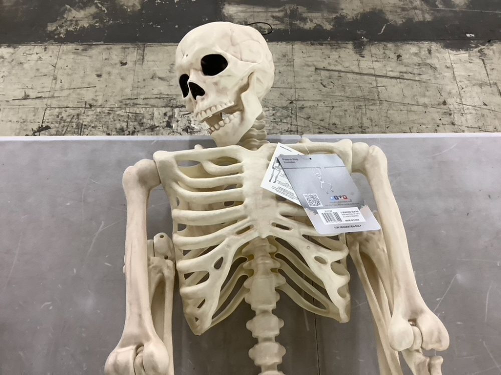 Crazy Bonez Original Pose-N-Stay Halloween Skeleton, 5 FT - Image 2 - Lot 680