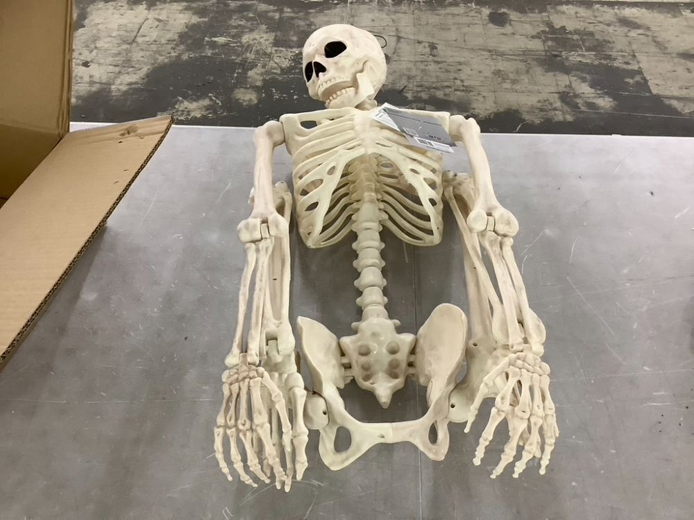 Crazy Bonez Original Pose-N-Stay Halloween Skeleton, 5 FT - Image 3 - Lot 680