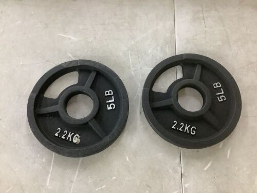 Lot of (2) 5LB Weight Plates - Lot 733JF