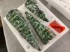 Set of 3 Pre-Lit Ceramic Tabletop Christmas Trees - Thumbnail 3
