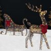 Lighted 2D Outdoor Christmas Reindeer & Sleigh Set w/ Warm White LED Lights - Thumbnail 1