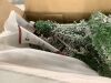 4.5' Pre-Lit Snow Flocked Artificial Pine Christmas Tree w/ Warm White Lights - Thumbnail 4