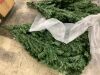 12' Pre-Lit Artificial Spruce Christmas Tree w/ Multicolored LED Lights - Thumbnail 4