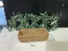 4 small wreaths and small wicker basket - Thumbnail 1