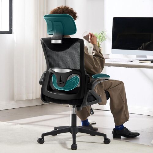 Fizzin Ergonomic Office Chair,Ergonomic Desk Chair with Headrest Mesh Computer Chair with High Back Adjustable Lumbar Support, Rolling Swivel Chairs with Wheel Armrests for Home Office,Black - Lot 2600
