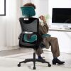 Fizzin Ergonomic Office Chair,Ergonomic Desk Chair with Headrest Mesh Computer Chair with High Back Adjustable Lumbar Support, Rolling Swivel Chairs with Wheel Armrests for Home Office,Black - Thumbnail 1