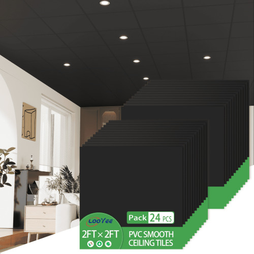 LooYee 24" x 24" Smooth Drop Ceiling Tiles 2ft x 2ft, PVC Ceiling Tile - Cover 96 Sq. ft - Lot 424