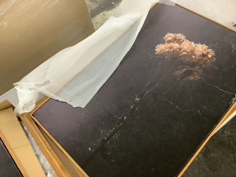 Floral Framed Canvas Wall Art Set 36" x 24" - Image 4 - Lot 171