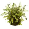 Nearly Natural Artificial Mixed Fern with Twig and Moss Basket - Thumbnail 1