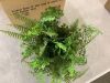 Nearly Natural Artificial Mixed Fern with Twig and Moss Basket - Thumbnail 4