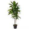 Nearly Natural Real Touch 48 in. Artificial H Green Dracaena Silk Plant - Thumbnail 1
