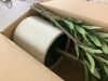 DR.Planzen 5 ft. Artificial Olive Tree with White Planter - Thumbnail 4