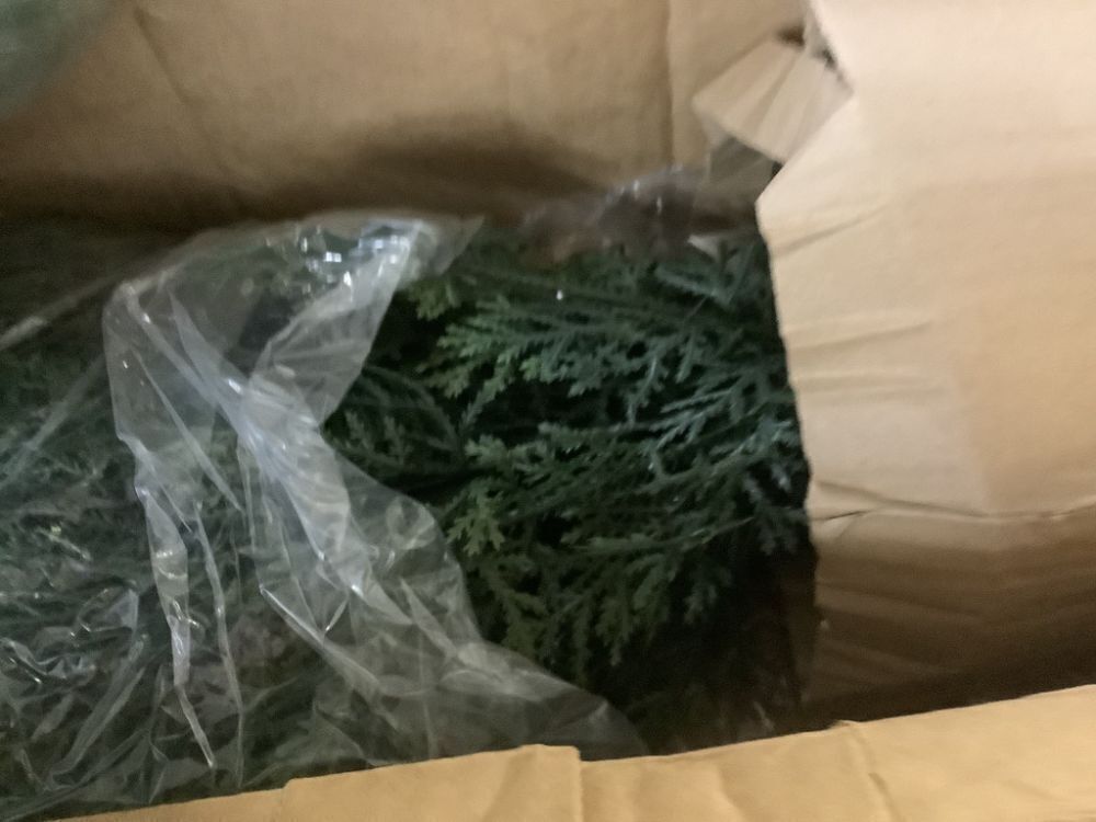 Nearly Natural 2 ft. Artificial Cedar Tree UV Resistant, Set of 2 - Image 3 - Lot 435JF