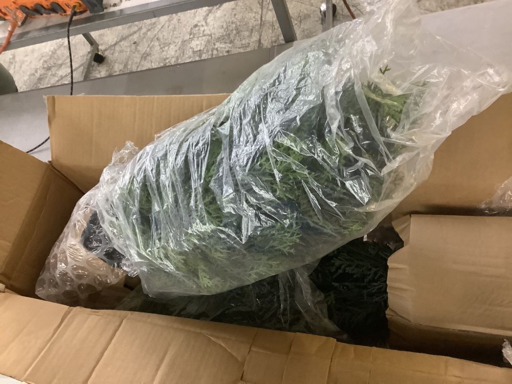 Nearly Natural 2 ft. Artificial Cedar Tree UV Resistant, Set of 2 - Image 4 - Lot 435JF