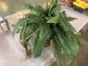 Nearly Natural Large Artificial Boston Fern Hanging Basket - Thumbnail 1