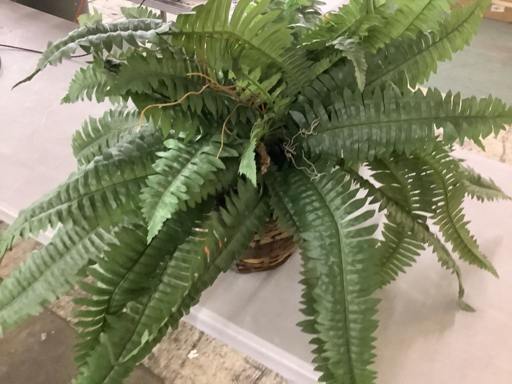 Nearly Natural Large Artificial Boston Fern Hanging Basket - Image 3 - Lot 436JF