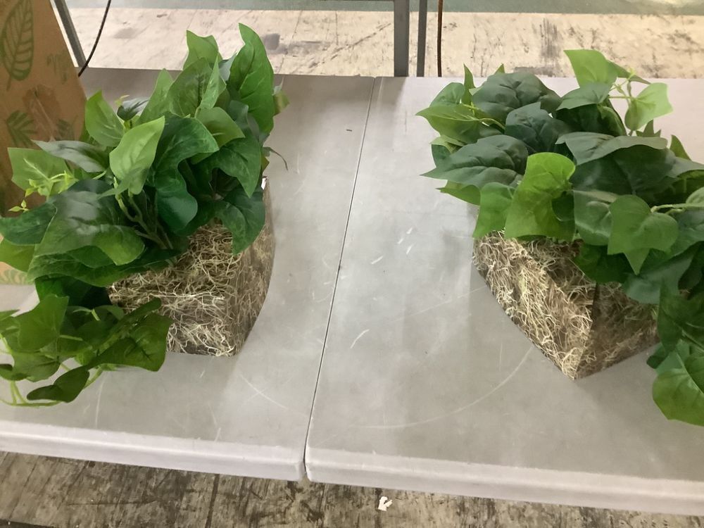 Lot of (2) Nearly Natural 24 in. London Ivy Artificial Ledge Plant (Real Touch) - Image 3 - Lot 537JF