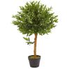 Nearly Natural 34 in. Indoor/Outdoor Olive Topiary Artificial Tree - Thumbnail 1