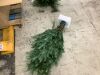 12' Pre-Lit Artificial Aspen Slim Noble Fir Christmas Tree w/ Metal Stand - Thumbnail 3