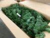 48" Pre-Lit Artificial Fir Christmas Wreath w/ LED Lights, Plug-In, PVC Tips - Thumbnail 2