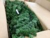 48" Pre-Lit Artificial Fir Christmas Wreath w/ LED Lights, Plug-In, PVC Tips - Thumbnail 4