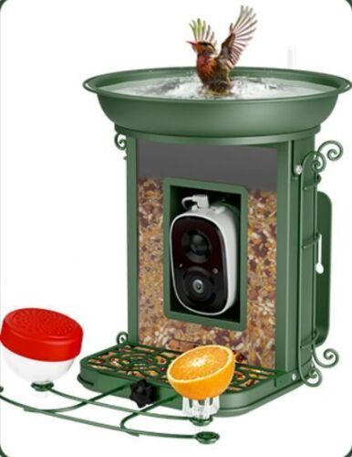 Bird Feeder with Camera - Lot 681