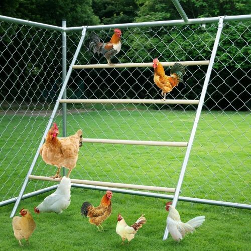 Chicken Roosting Ladder with Metal Frame and Wooden Rungs - Lot 756