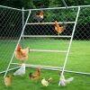 Chicken Roosting Ladder with Metal Frame and Wooden Rungs - Thumbnail 1