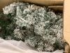 6' Pre-Lit Snow Flocked Artificial Pine Christmas Tree w/ Warm White Lights - Thumbnail 6