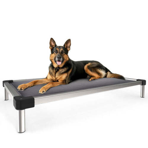 TitanNest Padded Chew-Proof Elevated Dog Bed for Your Chewer - Lot 1225
