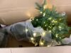 9' Pre-Lit Artificial Full Aspen Christmas Tree w/ 2-in-1 Micro LED Lights - Thumbnail 6